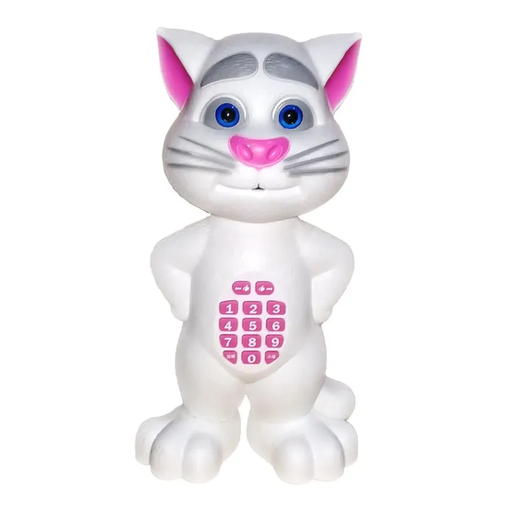 Intelligent Talking Cat
